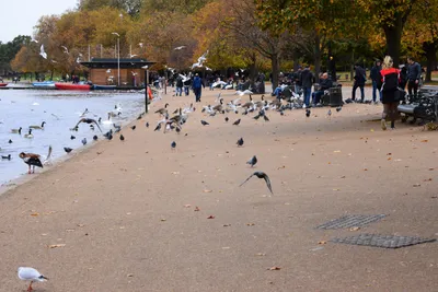 DSC_0642 (Large).JPG